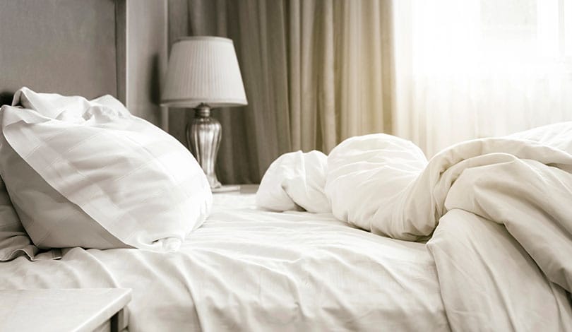 punaises de lit à Marrakech